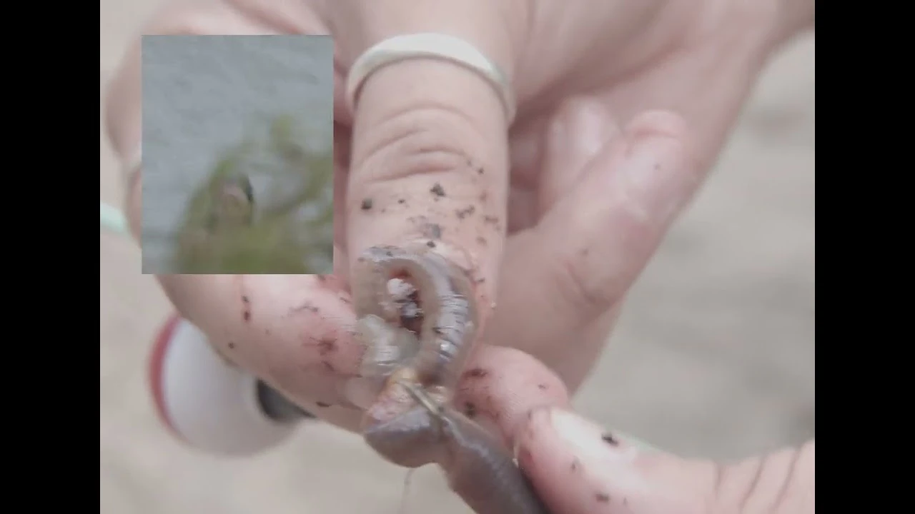 So Considerate - Hiding Places (Official Music Video)